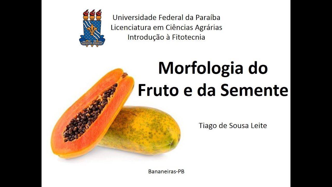 Botânica básica - Morfologia do fruto e da semente (Organografia)