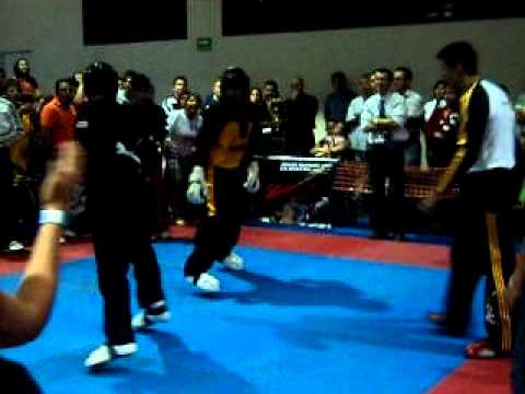 Damian Rodriguez (Puma Team) V.S. Sergio Calva (Tekno) . Torneo Top ten 2011