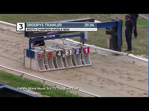 2020 CHAMPION HURDLE - 2ND SEMI - T3 DROOPYS TRAWLER