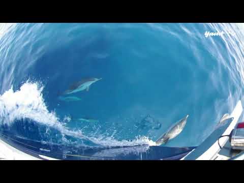 Elba: Napoleon's Italian island