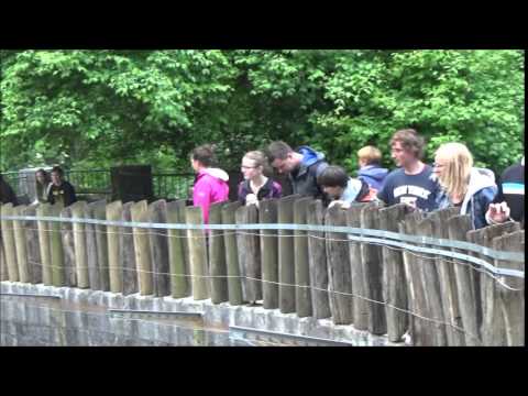 Bajka šola za pse v živalskem vrtu