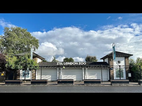Part 2 | London Zoo Walking Tour | Rain And Sunshine | Exciting Ambience | London England | 4K