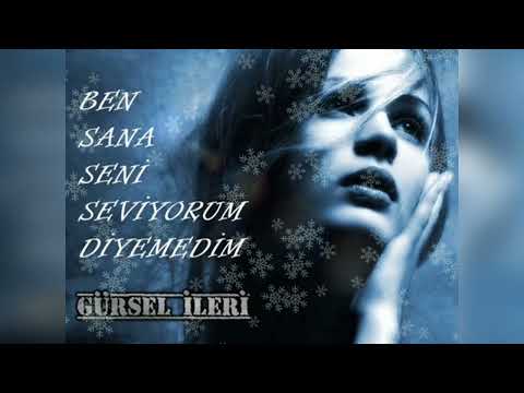 Gürsel İleri - Ben Sana Seni Seviyorum Diyemedim