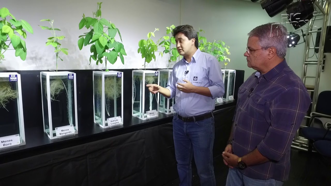 RIC Rural fala sobre a importância dos nutrientes para as plantas