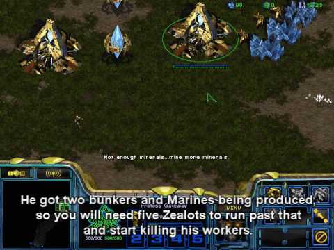 [StarCraft] How To: Protoss Zealot Rush Build Order