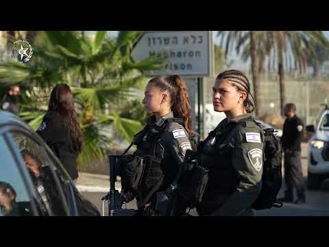 נתפסו כלי תקיפה, אקדח, אלות וסכינים (וידאו)
