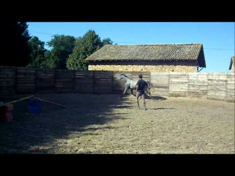 La Chula Bareliere Z