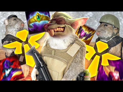 Twitch Support is fun.exe