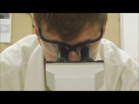 The Real Manhattan Project - APUSH 2016 - OFFICIAL TRAILER