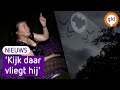 Vrouw telt hele avond vleermuizen voor het slapen gaan