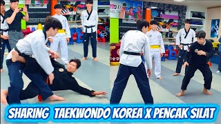 Download lagu Sharing Pencak Silat x Taekwondo Korea Scissoring Technique mp3