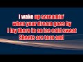 Gary Allan Wake Up Screaming (karaoke)(by request)