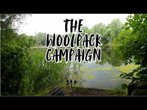 THE WOOLPACK CAMPAIGN | 2021/2022 SEASON | PART 2 | NO NAME