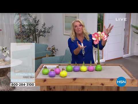 HSN | Spring Home & Decor with Suzanne 03.21.2022 - 08 PM