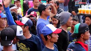 Download lagu Yang bambang new pallapa mp3