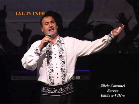 ION ARTUR - EU SUNT BAIAT DIN FETESTI (ZILELE COMUNEI BORCEA 2015)