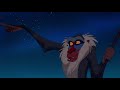 Kmari And Bailey S Adventures Of The Lion King Pt 21