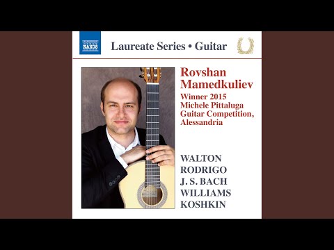 Violin Partita No. 2 in D Minor, BWV 1004: V. Chaconne (Arr. R. Mamedkuliev for Guitar)