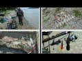 Фидер .Рыбалка в Украине."LONE WOLF" 2007-2015. 
