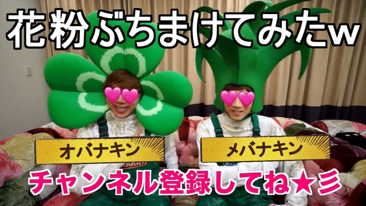 【コメ付】卵が作った痛いヒカマニ外伝「花粉ぶちまけてみたｗ」【Hikakin_Mania】