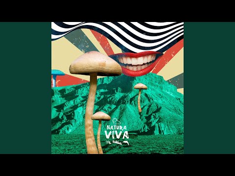 Donnaiolo (Daniel Rateuke Remix)