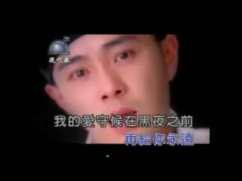 夜蝶－張衛健