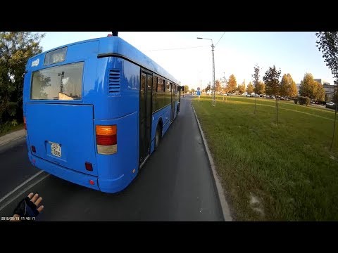 Elengedem a buszt (zebra, centi) - I let the bus go (zebra, close pass)