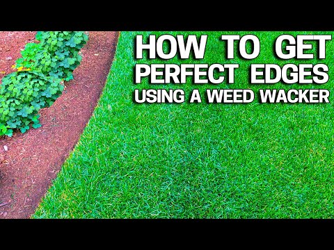 How to Get Perfect Lawn Edges with a Weed Wacker