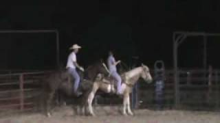 preview picture of video 'Rosie training fresh roping cattle #1'