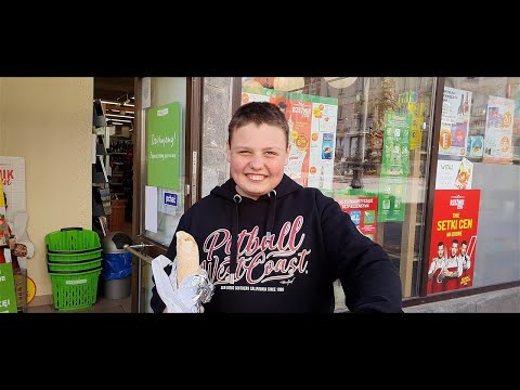 DISCO BANIA - WAKACJE(TEKST)