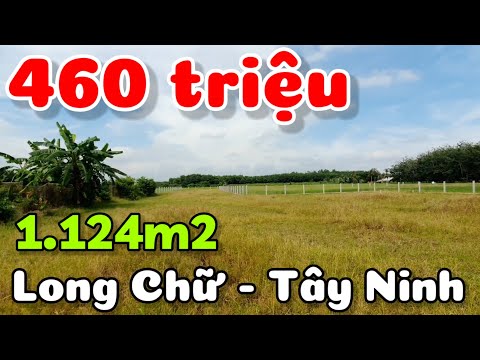 Bán đất 1.124m2 có thổ cư giá 460 triệu gần trường học xã Long Chữ Tây Ninh cách TPHCM 70km