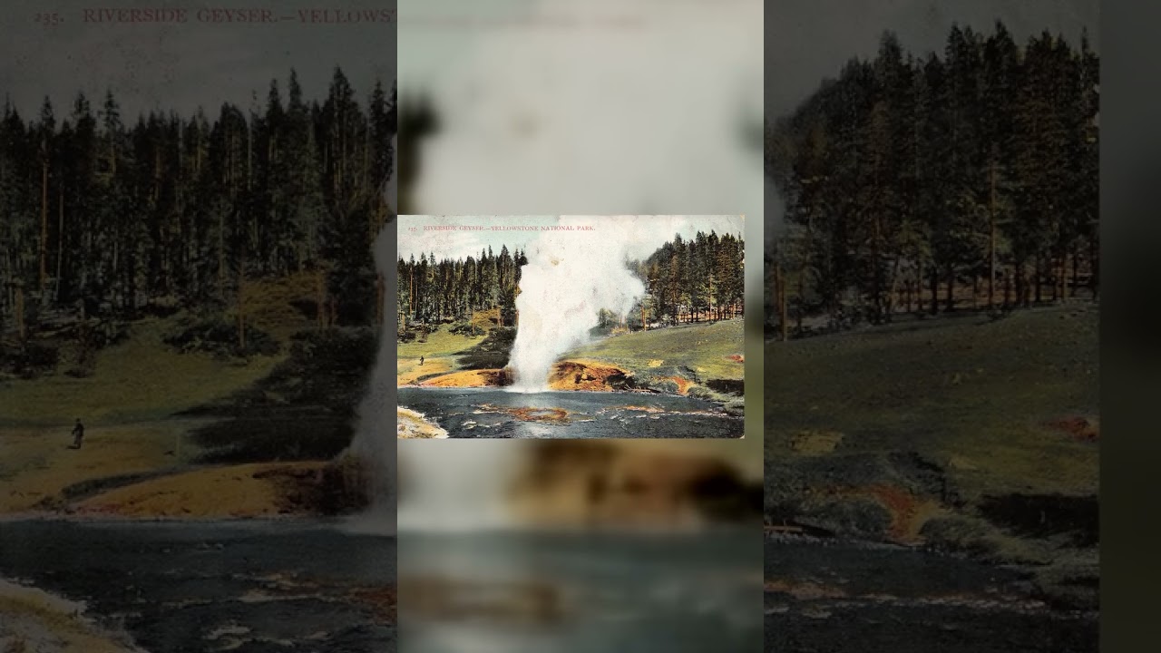 Scheuber Drug Co. Divided Back Postcard, Riverside Geyser, Yellowstone, 1908 Video
