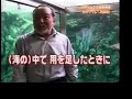 WC Japan Video (Milos) - Známka: 4, váha: střední