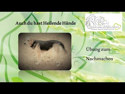 Auch du hast heilende Hände