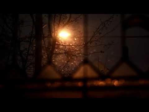 Liquid Fraction - ISAN Tribute Mix Part 2 - Atmospheric Ambient IDM 2017 High Resolution WAV Audio.