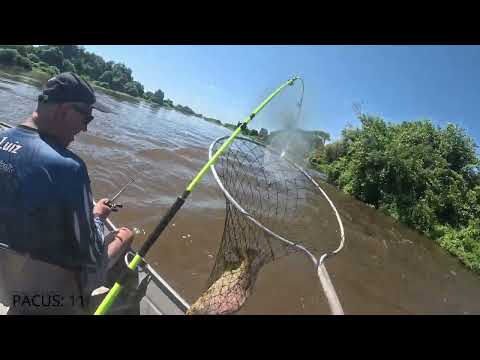 Pescaria Pantanal, será que deu peixe? Barão de Melgaço - MT