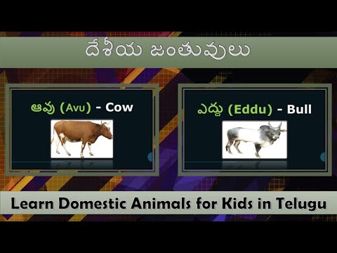 దేశీయ జంతువులు - pempuḍu jantuvulu - learn domestic animals name