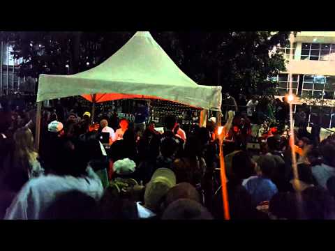 Alpha Steppa in Reunion of Dub