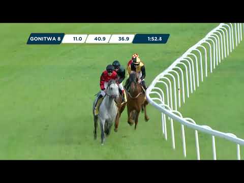 Nagroda Kurozwęk - (Kat.B) 11.06.2023 - (Dzień 13; Gonitwa 8)