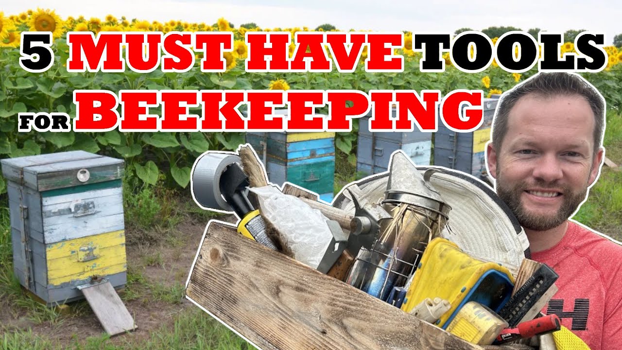 Five MUST HAVE tools for Beekeeping