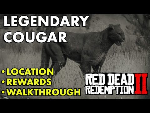 Red Dead Redemption 2 – Legendärer Puma (Standort, Belohnungen, Walkthrough)