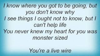 Beastie Boys - Live Wire Lyrics