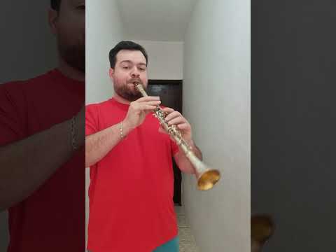 Conn 524N - Professional metal clarinet image 9