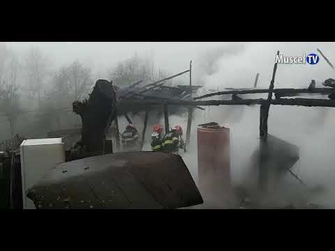 Jurnal MUSCEL TV 20.12.2021 Sfaturi ISU pentru tăierea porcului și afumători