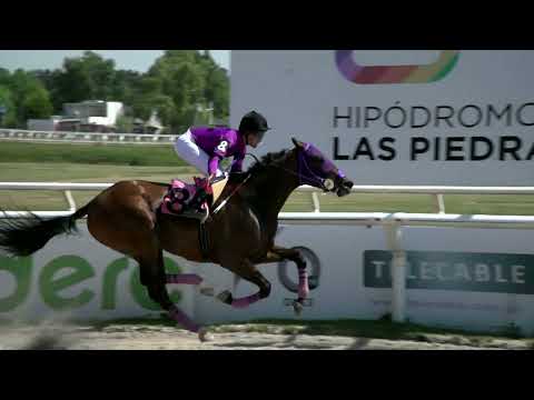211230 c03 - MAGIC AVENUE - HIPODROMO LAS PIEDRAS