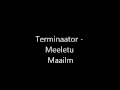 Terminaator - Meeletu Maailm 