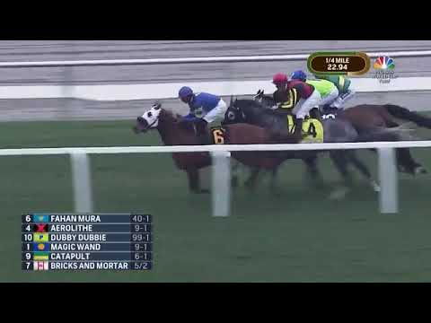 Bricks and Mortar wins the inaugural Pegasus World Cup Turf Championship!