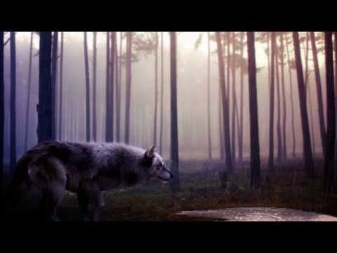 My top 15 Drum And Bass (Hard edition) HD 2013 !