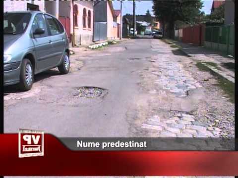 Nume predestinat