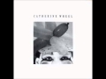 Catherine Wheel - Intravenous - Balloon 